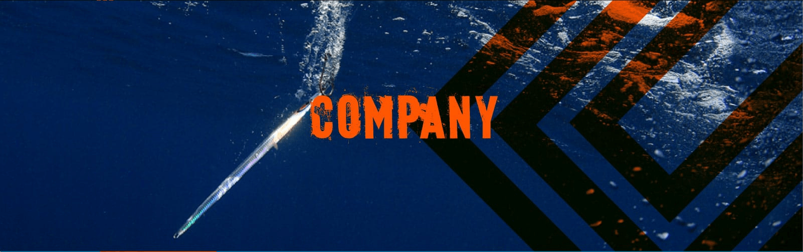 COMPANY
