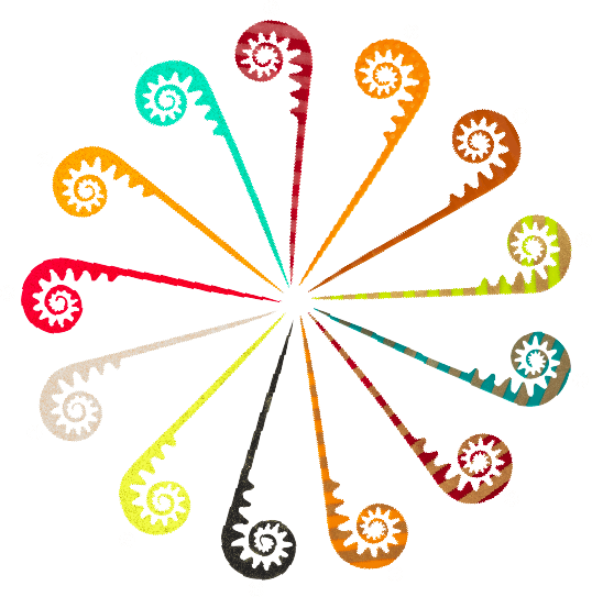 アンモナイトカーリーテール