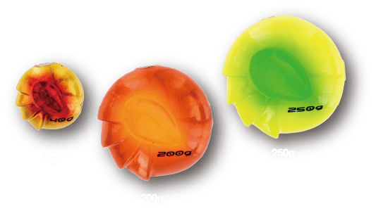 アンモナイトヘッド