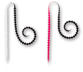 ライダーカーリー