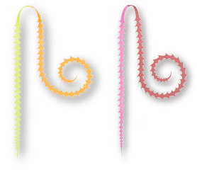 ライダーカーリー