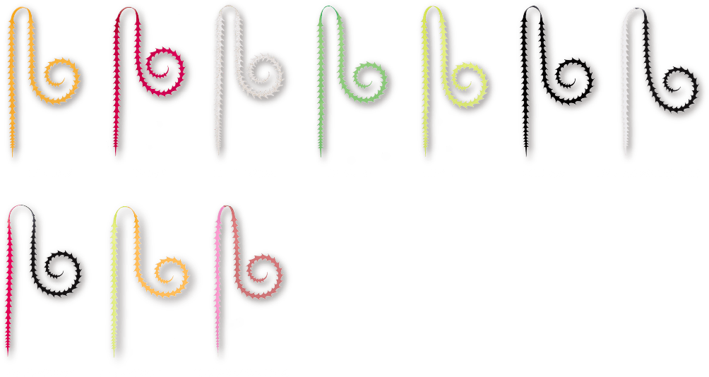 ライダーカーリー