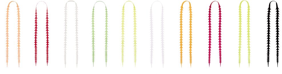 ライダーストレート