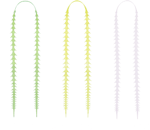 ライダーストレート