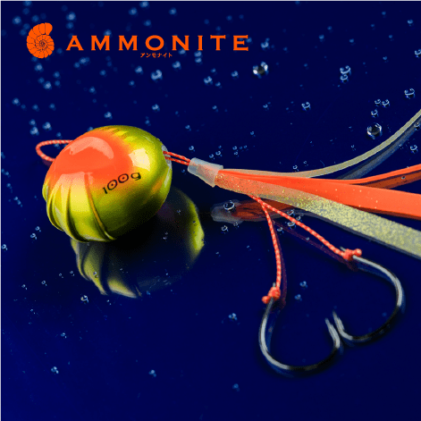 アンモナイト